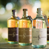 Bacanora Collection