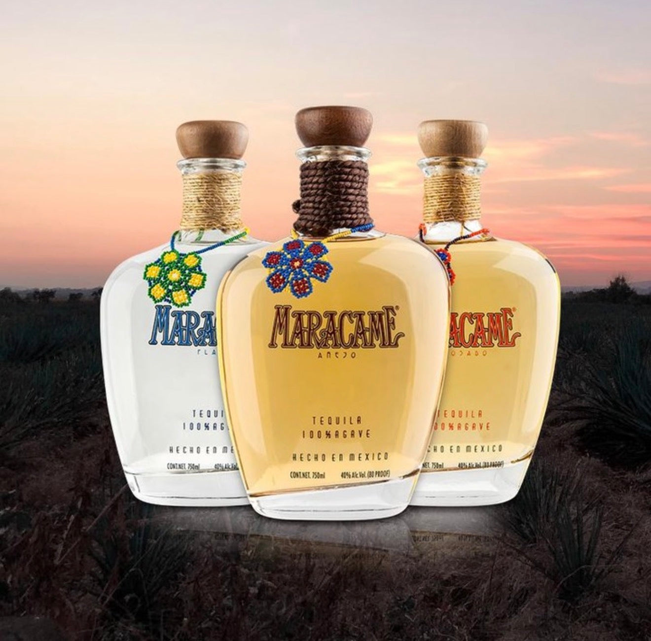 Azteca Azul Colecciones – ALA
